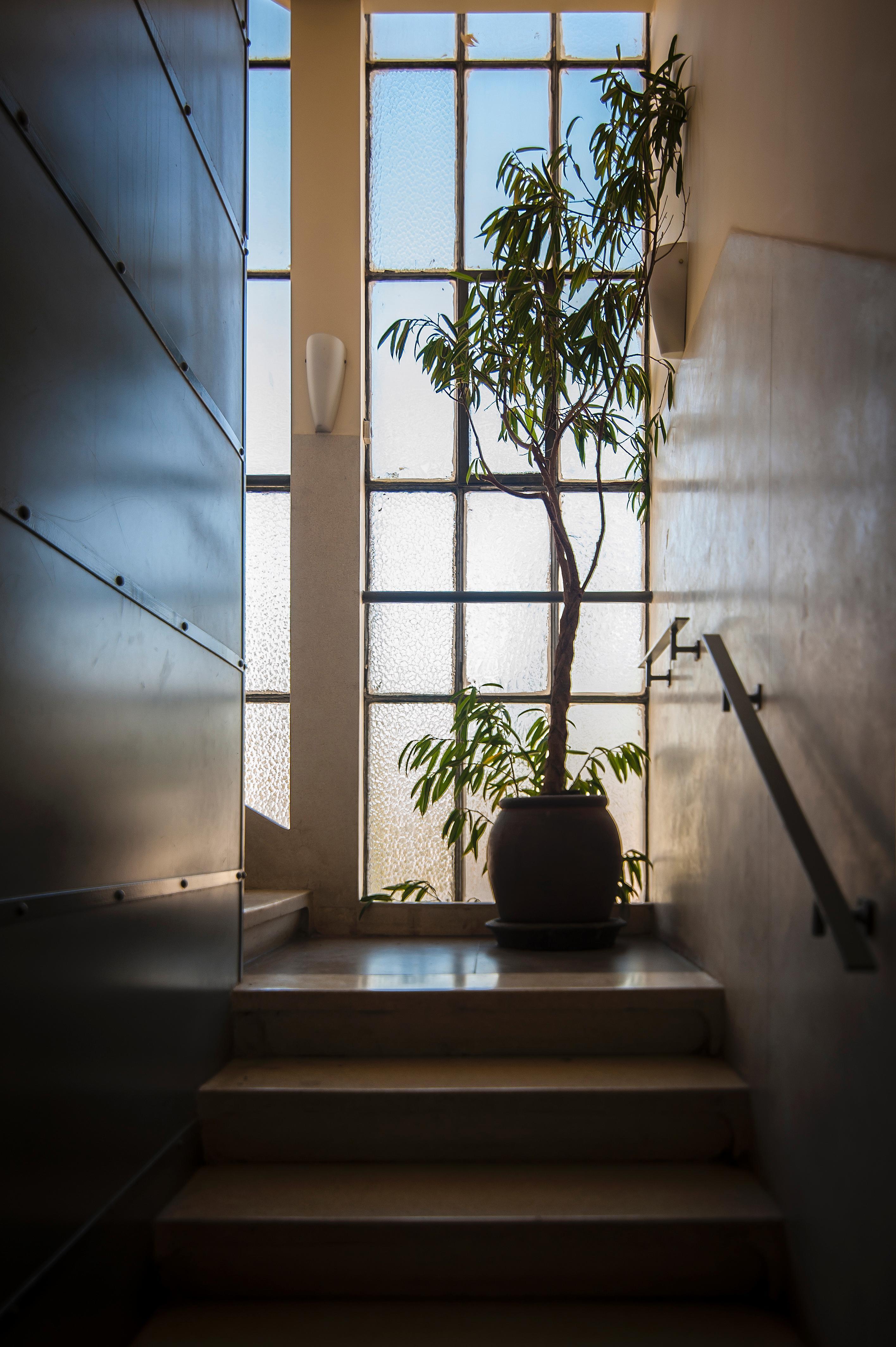 Satori Hotel Χάιφα Εξωτερικό φωτογραφία